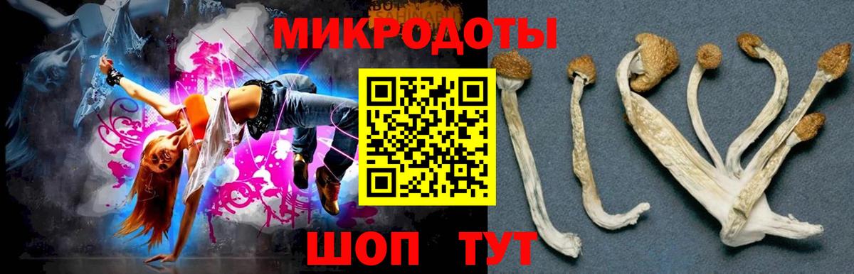 Железногорск  Псилоцибиновые грибы GOLDEN TEACHER  Галлюциногенные грибы Magic Shrooms  купить  цена  Вход с VPN 